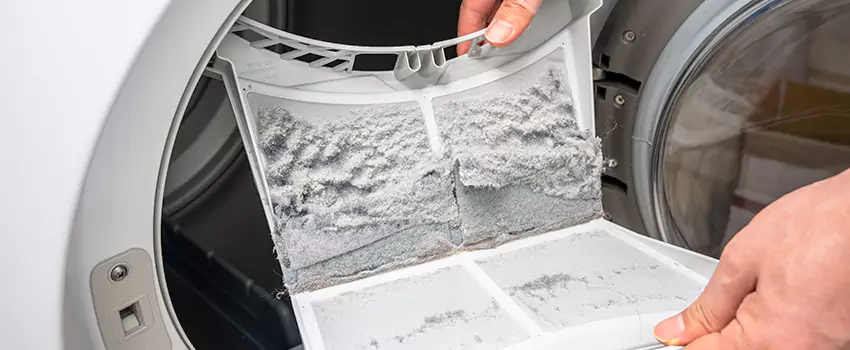 Best Dryer Lint Removal Company in Maple Valley, Washington